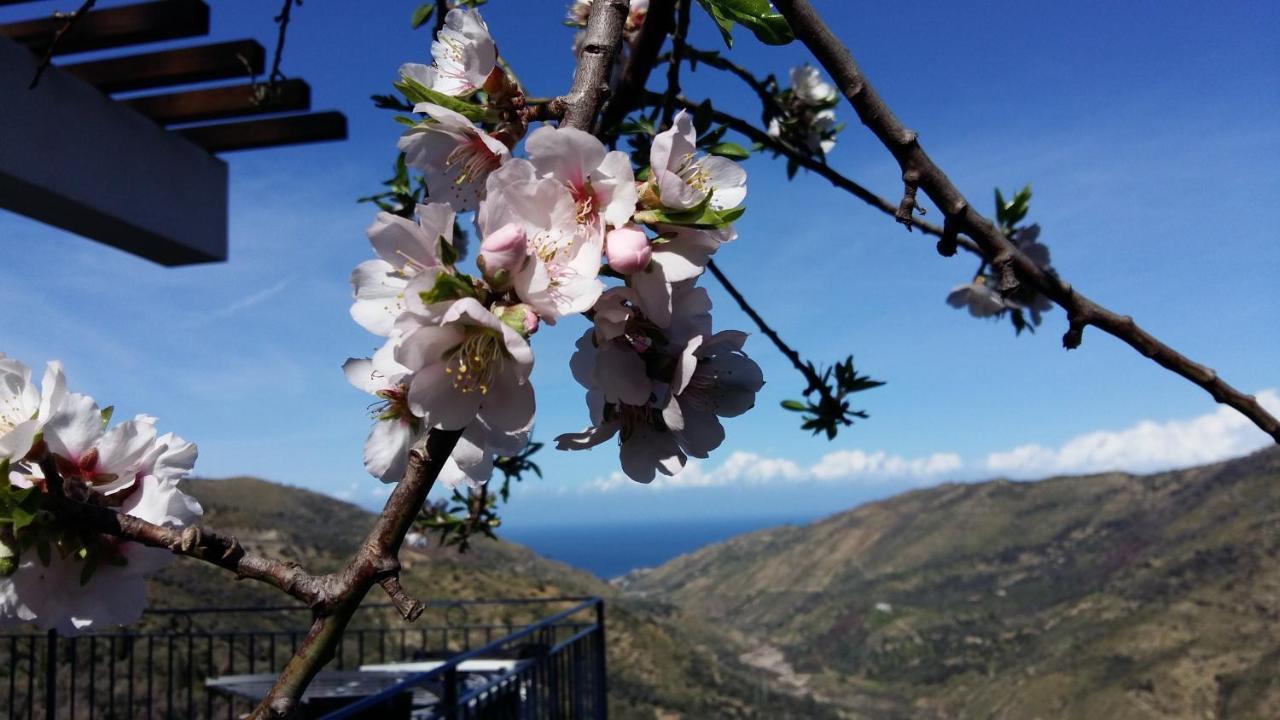 Bed and Breakfast Contrada Carmine Reitano  Екстер'єр фото